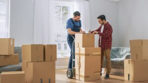 summer&winter moving